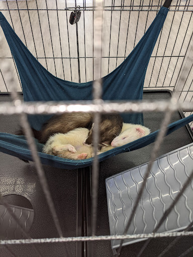 Pet Supply Store «Pet Supplies Plus», reviews and photos, 411 Boardman-Canfield Rd, Youngstown, OH 44512, USA