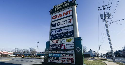 Discount Store «Big Lots», reviews and photos, 467 W Penn Ave, Cleona, PA 17042, USA