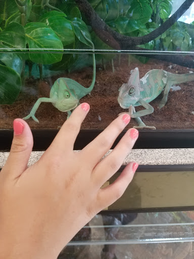 Pet Supply Store «Petco Animal Supplies», reviews and photos, 8644 E 96th St, Fishers, IN 46038, USA