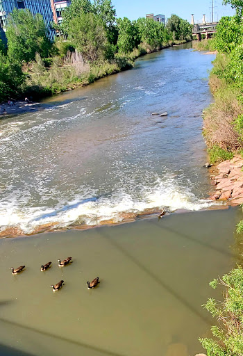 Park «Confluence Park», reviews and photos, 2250 15th St, Denver, CO 80202, USA