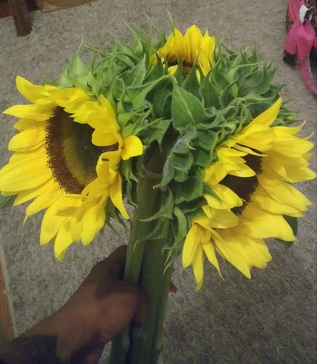 Park «Norwood Park», reviews and photos, 19401 NW 14th Ave, Miami, FL 33169, USA