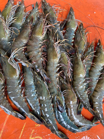 Choon Seng Seafood Trading