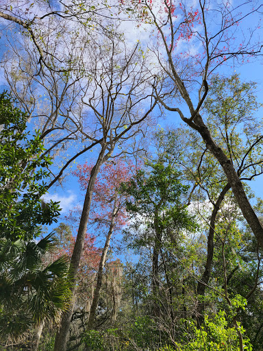 Park «Moccasin Lake Nature Park», reviews and photos, 2750 Park Trail Ln, Clearwater, FL 33759, USA