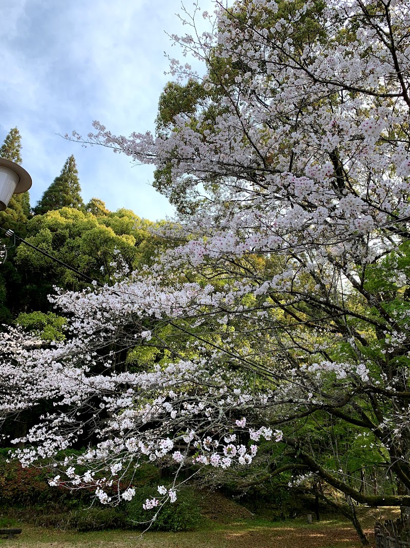 蒲生八幡桜公園