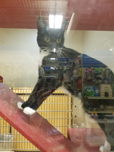 Pet Supply Store «PetSmart», reviews and photos, 3780 Riverchase Village #300, Hoover, AL 35244, USA