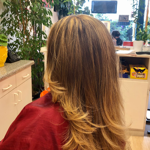 Hair Salon «University Hair Care», reviews and photos, 1444 University Ave, Berkeley, CA 94702, USA
