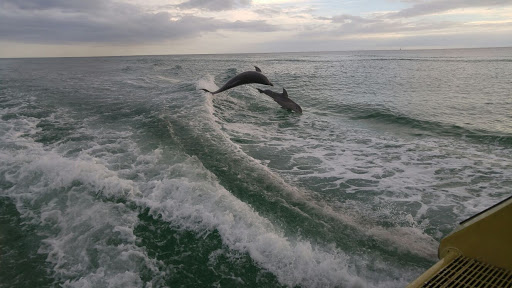 Boat Tour Agency «Sea Screamer», reviews and photos, 3605 Thomas Dr, Panama City, FL 32408, USA