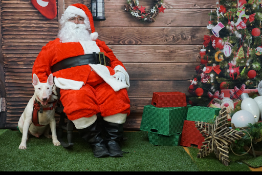 Kennel «Barkaritaville Pet Resort», reviews and photos, 6617 Jefferson St, Corpus Christi, TX 78413, USA