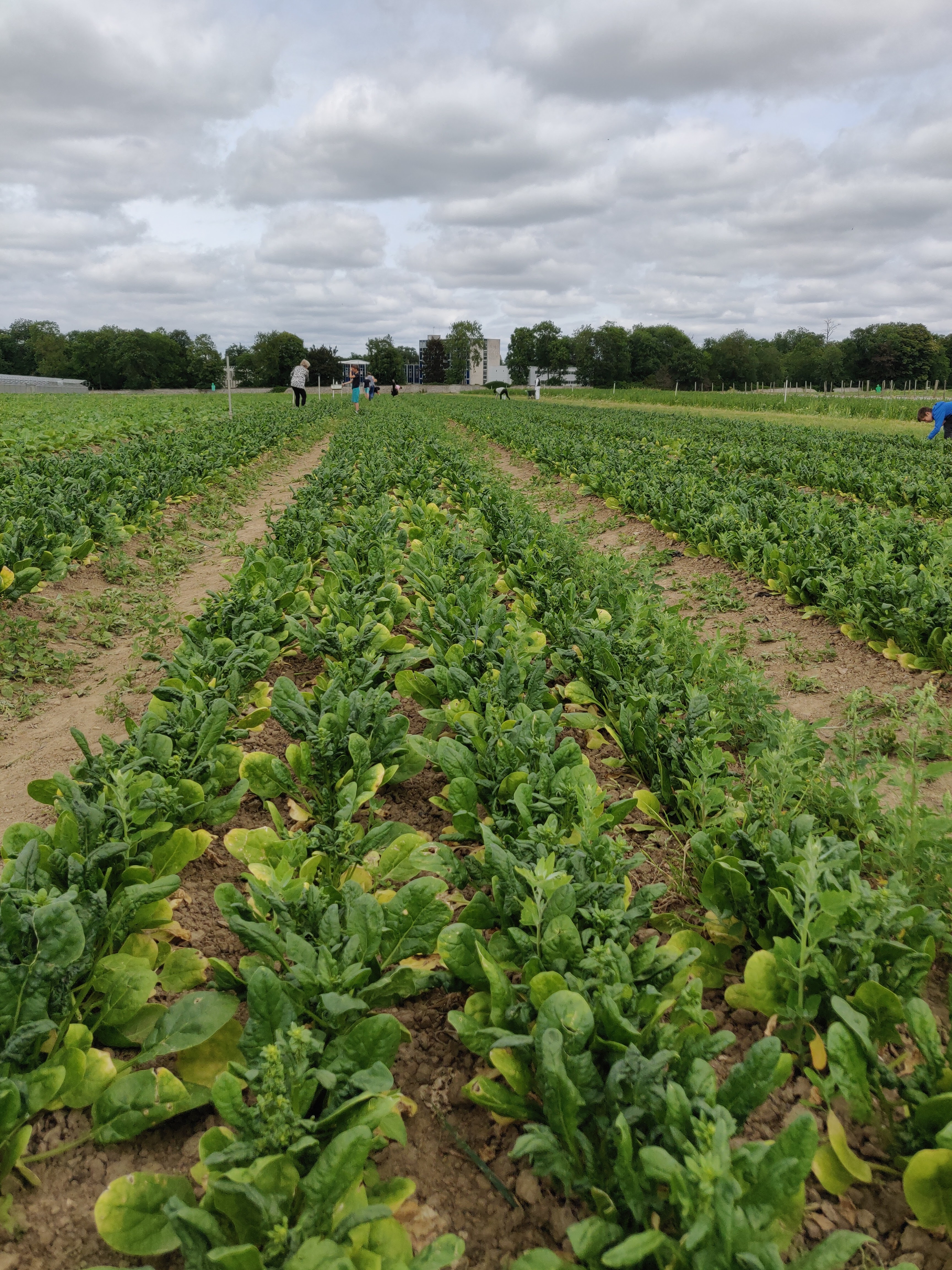 Photo n° 5 de l'avis de Sky.a fait le 23/06/2022 à 14:08