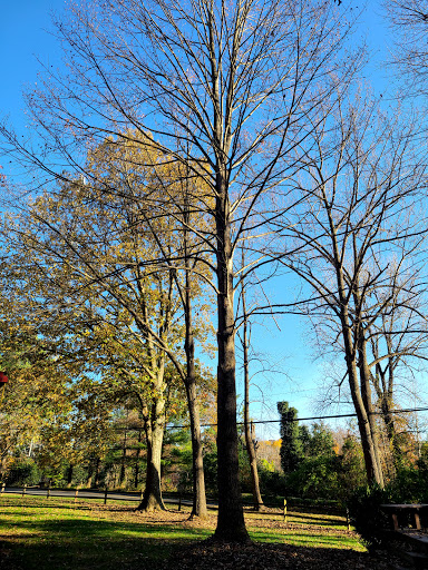 Museum «Fairfax Station Railroad Museum», reviews and photos, 11200 Fairfax Station Rd, Fairfax Station, VA 22039, USA