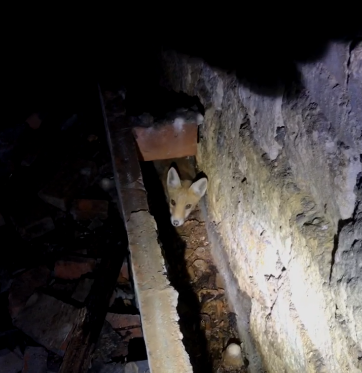 Photo n° 7 de l'avis de PierreSch. fait le 09/09/2022 à 17:44