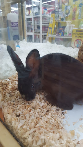 Pet Supply Store «Pet Supermarket», reviews and photos, 7822 Gall Blvd, Zephyrhills, FL 33541, USA
