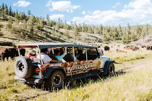 Buffalo Safari Jeep Tours image