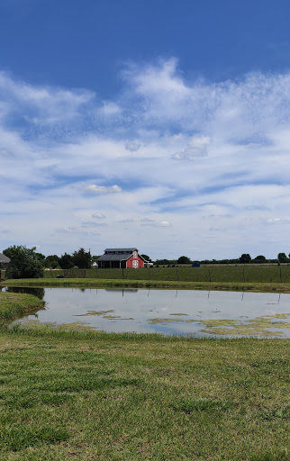 Winery «Eden Hill Winery and Vineyard», reviews and photos, 4910 Eden Hill Ln, Celina, TX 75009, USA