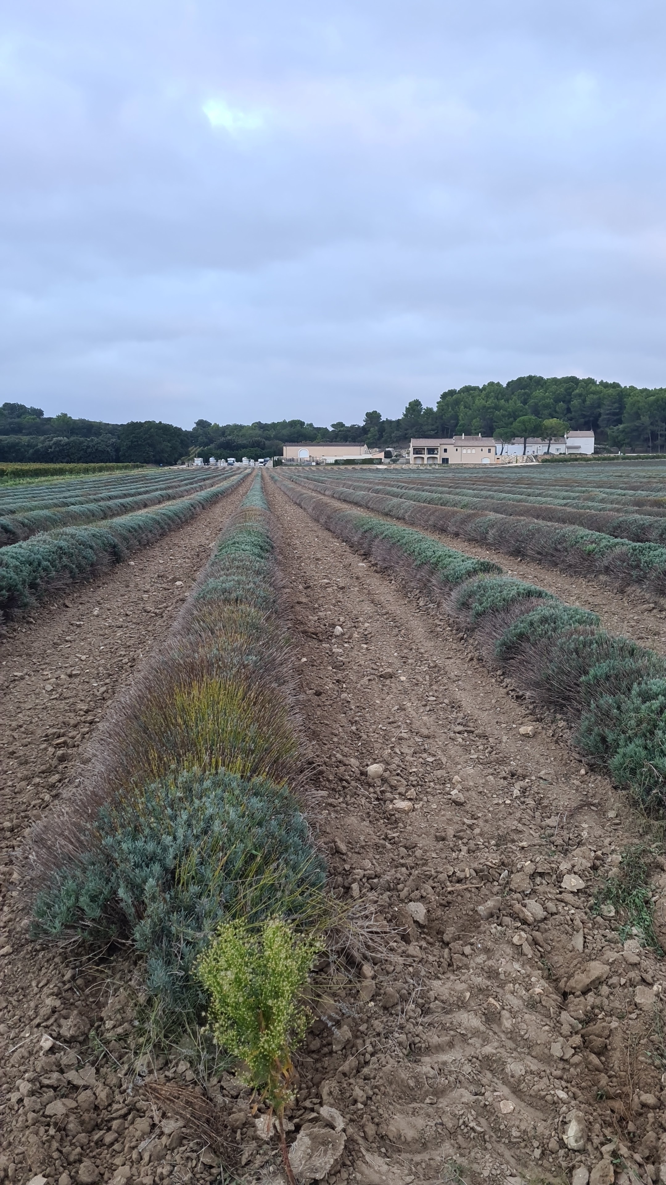 Photo n° 2 de l'avis de Dietmar.e fait le 14/10/2023 à 18:10