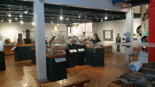 Natural History Museum «George B. Dorr Museum of Natural History», reviews and photos, 105 Eden St, Bar Harbor, ME 04609, USA