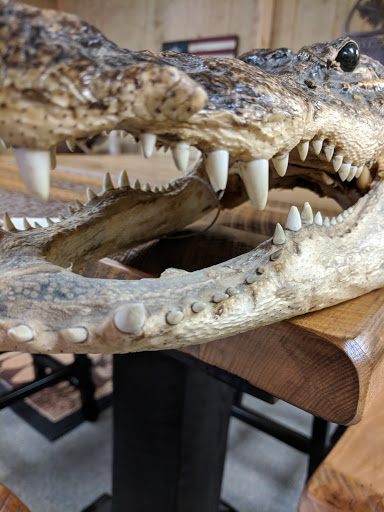 Rustic Furniture Store «E Z Mountain Rustic Furniture», reviews and photos, 580 PA-940, Pocono Lake, PA 18347, USA