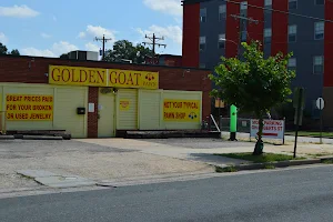Golden Goat image