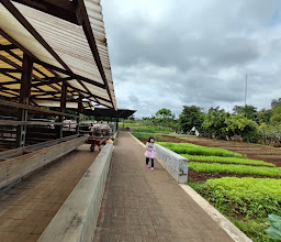 Kuntum Farmfield photo
