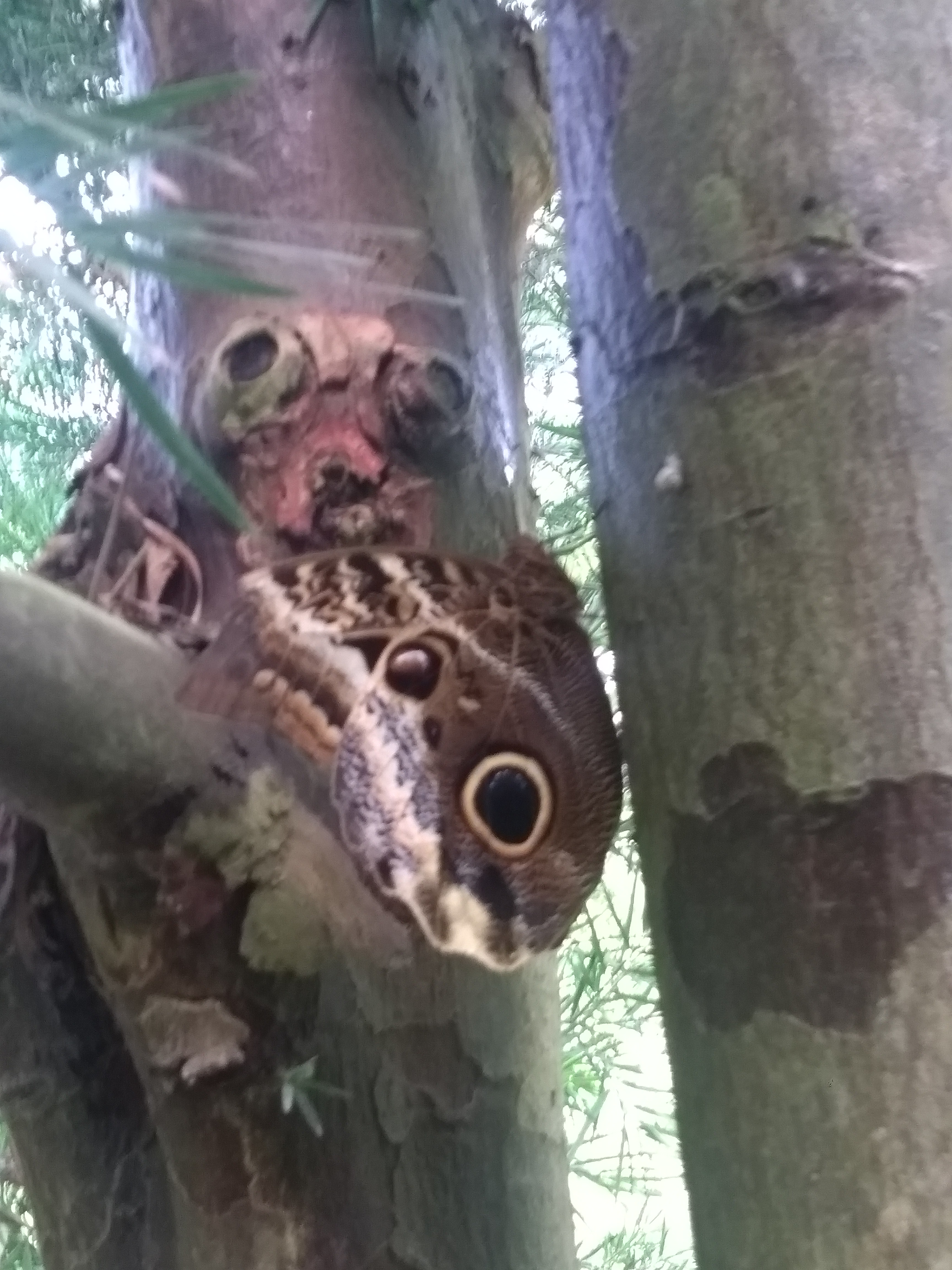 Photo n° 2 de l'avis de Johannes.o fait le 13/07/2019 à 20:02