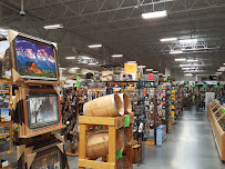 Sportsman's Warehouse - Photo 8 - Car repair in Grand Junction, CO, Grand Junction