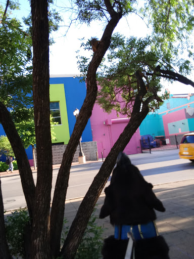 Park «Milam Park», reviews and photos, 500 W Commerce St, San Antonio, TX 78207, USA