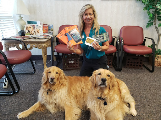 Insurance Agency «Horizon Insurance», reviews and photos