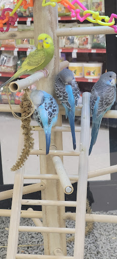 Pet Supply Store «Petco Animal Supplies», reviews and photos, 3444 S Mooney Blvd, Visalia, CA 93277, USA