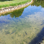 Photo n°12 de l'avis de Lauro.a fait le 28/08/2021 à 17:12 sur le  Rifugio Peschiera Zamboni à Febbio