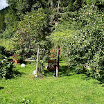 Photo n°9 de l'avis de Likissas.i fait le 30/08/2018 à 12:39 sur le  Waldhotel Auerhahn Hochkopfhaus à Todtnau