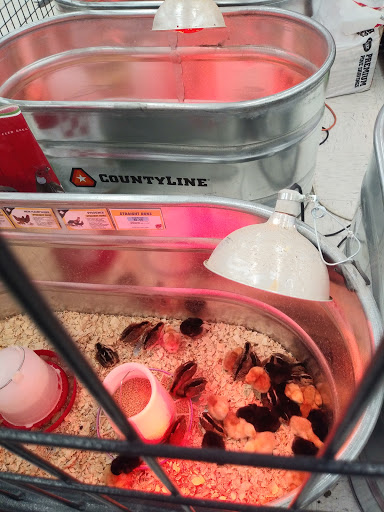 Home Improvement Store «Tractor Supply Co.», reviews and photos, 79 Weibel Ave, Saratoga Springs, NY 12866, USA