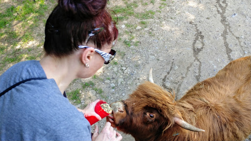 Restaurant «Hidden Valley Animal Adventure», reviews and photos, 2887 Royce Rd, Varysburg, NY 14167, USA