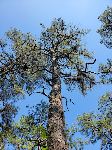 Nature Preserve «Black Run Preserve», reviews and photos, Kettle Run Rd, Evesham Township, NJ 08053, USA