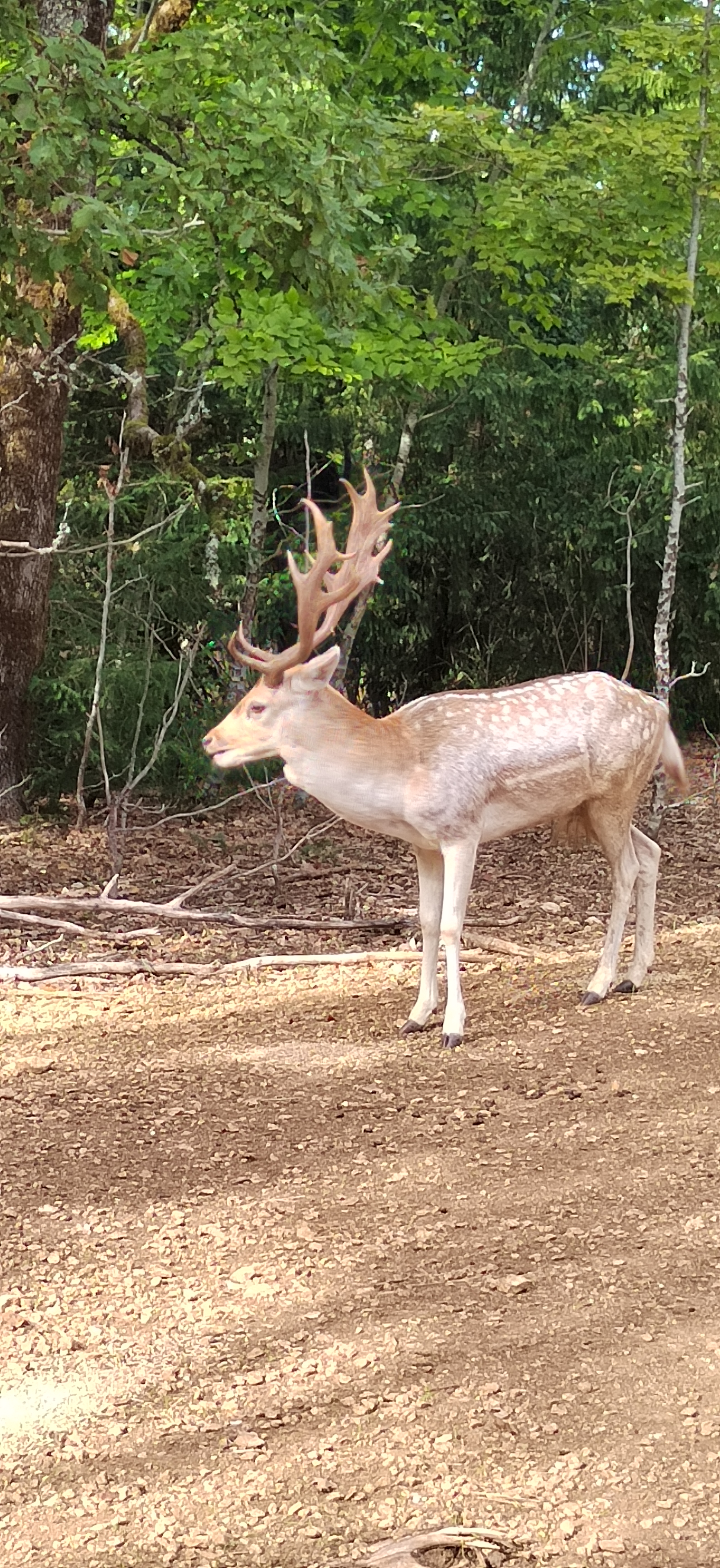 Photo n° 4 de l'avis de flo.g fait le 20/08/2022 à 16:30
