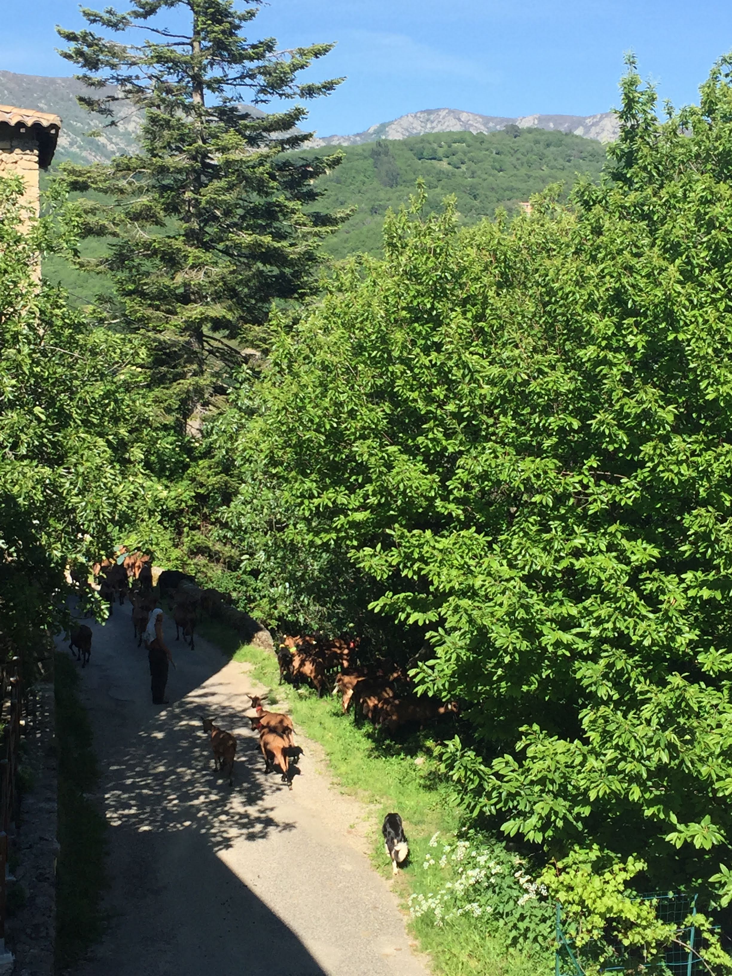 Photo n° 25 de l'avis de Catherine.o fait le 27/05/2019 à 05:25