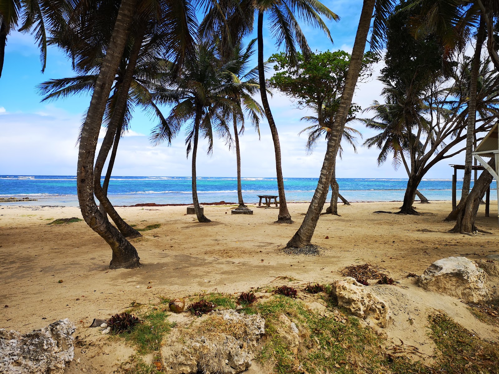 Plage de Montal'in fotoğrafı - rahatlamayı sevenler arasında popüler bir yer