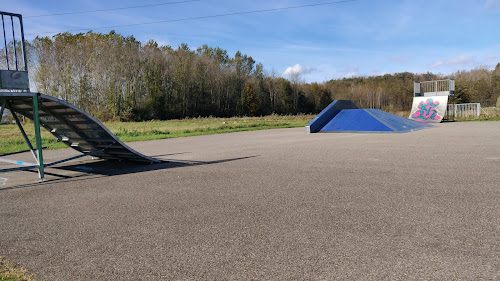 Skate parc à Chaponnay