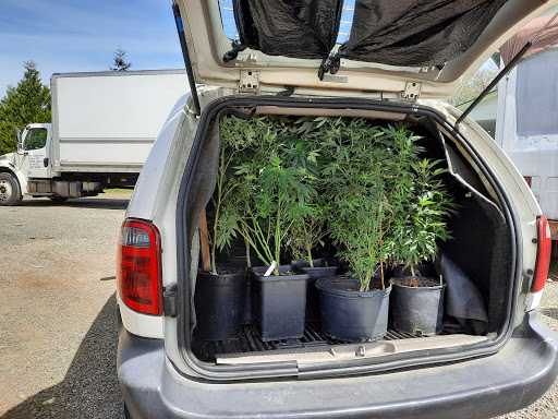 Used Car Dealer «Livengood Motor», reviews and photos, 16131 WA-99, Lynnwood, WA 98087, USA