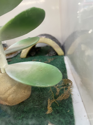 Pet Supply Store «Pet Supplies Plus», reviews and photos, 3701 S Orlando Dr, Sanford, FL 32773, USA