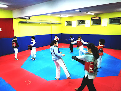 Aslan Taekwondo Spor Kulübü
