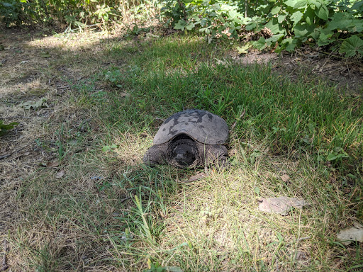 Nature Preserve «Rollins Savanna Forest Preserve», reviews and photos, 20160 W Washington St, Grayslake, IL 60030, USA