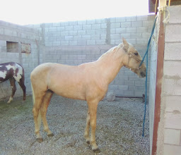 Hermenegildo Aldama photo