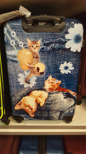 Home Goods Store «Tuesday Morning», reviews and photos, 9656 Olive Blvd, Olivette, MO 63132, USA