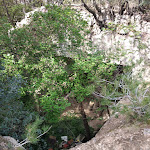 Photo n° 8 de l'avis de Eva.a fait le 23/04/2023 à 11:00 pour Sentier des moulins à Fontvieille