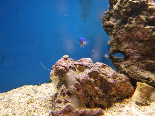 Golf Course «Elmwood Golf Course», reviews and photos, 3900 Thatcher Ave, Pueblo, CO 81005, USA