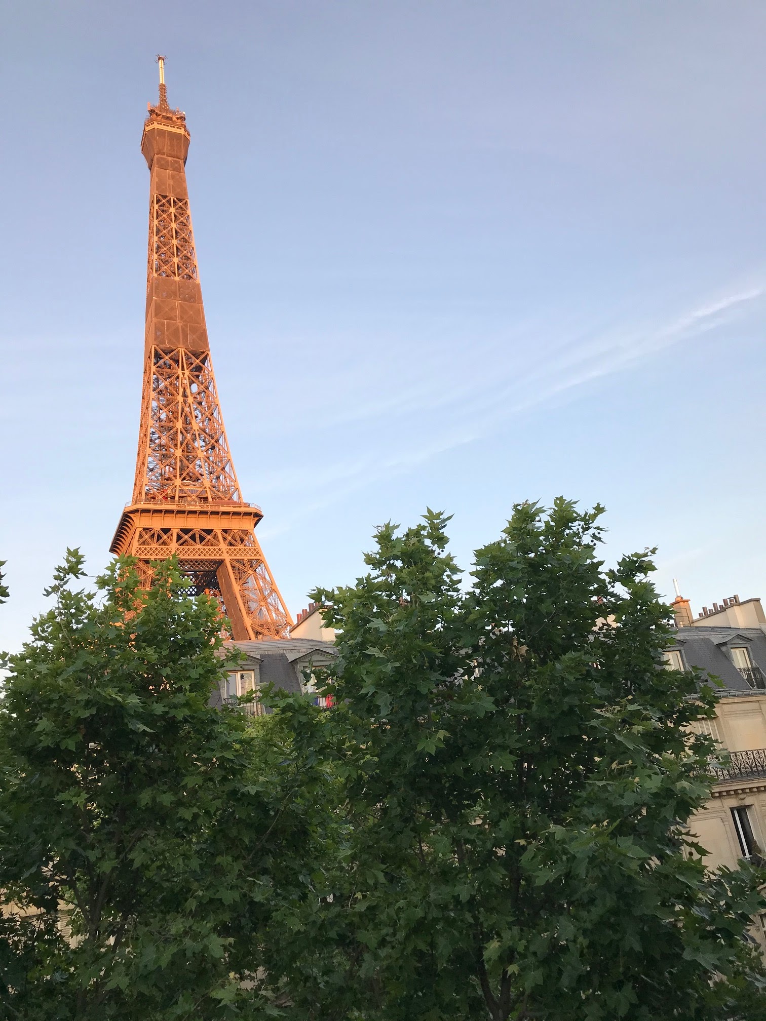 Photo n° 1 de l'avis de Deuxième.t fait le 06/07/2020 à 22:04