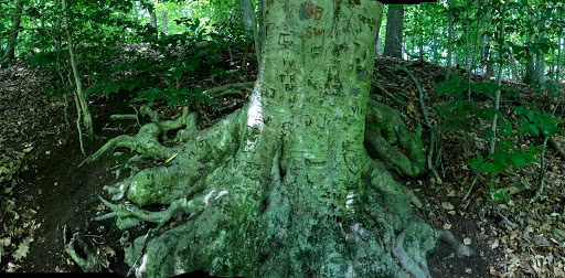 Nature Preserve «Oak Grove Nature Center», reviews and photos, 269 Oak Grove St, Manchester, CT 06040, USA