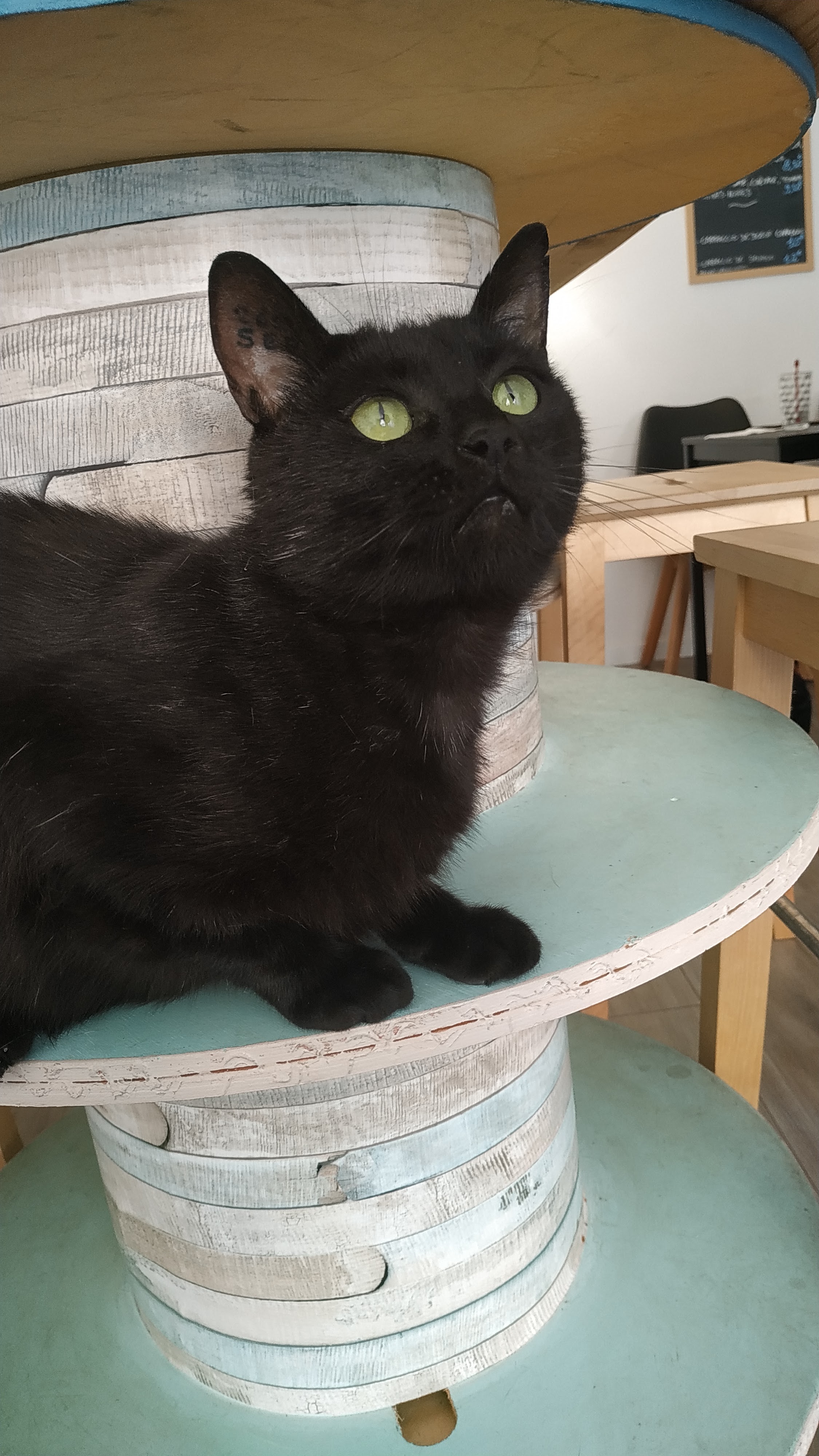 Photo n° 2 de l'avis de Charles.u fait le 22/06/2019 à 20:22