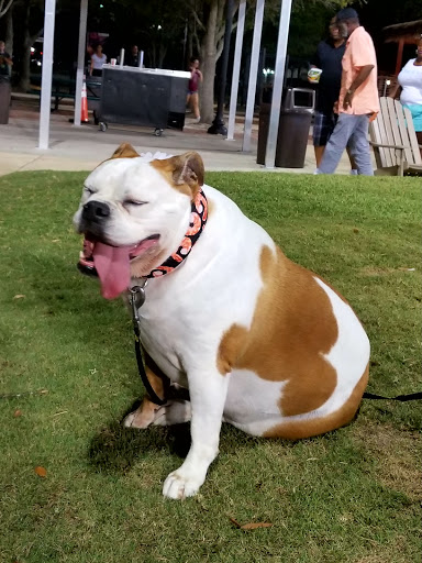 Stadium «Baseball Grounds - Jacksonville», reviews and photos, 301 A Philip Randolph Blvd, Jacksonville, FL 32202, USA