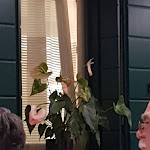 Photo n°16 de l'avis de MARINA.H fait le 10/11/2018 à 17:27 sur le  Trattoria Da Giulia à Stanghella